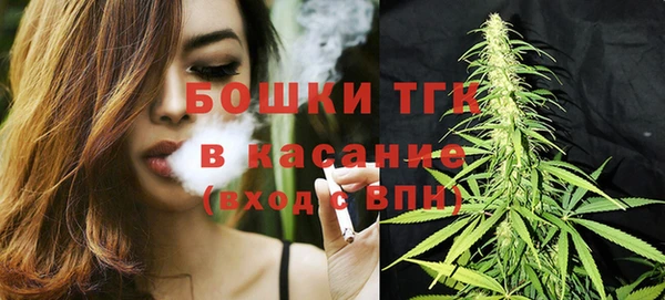 дурь Горнозаводск